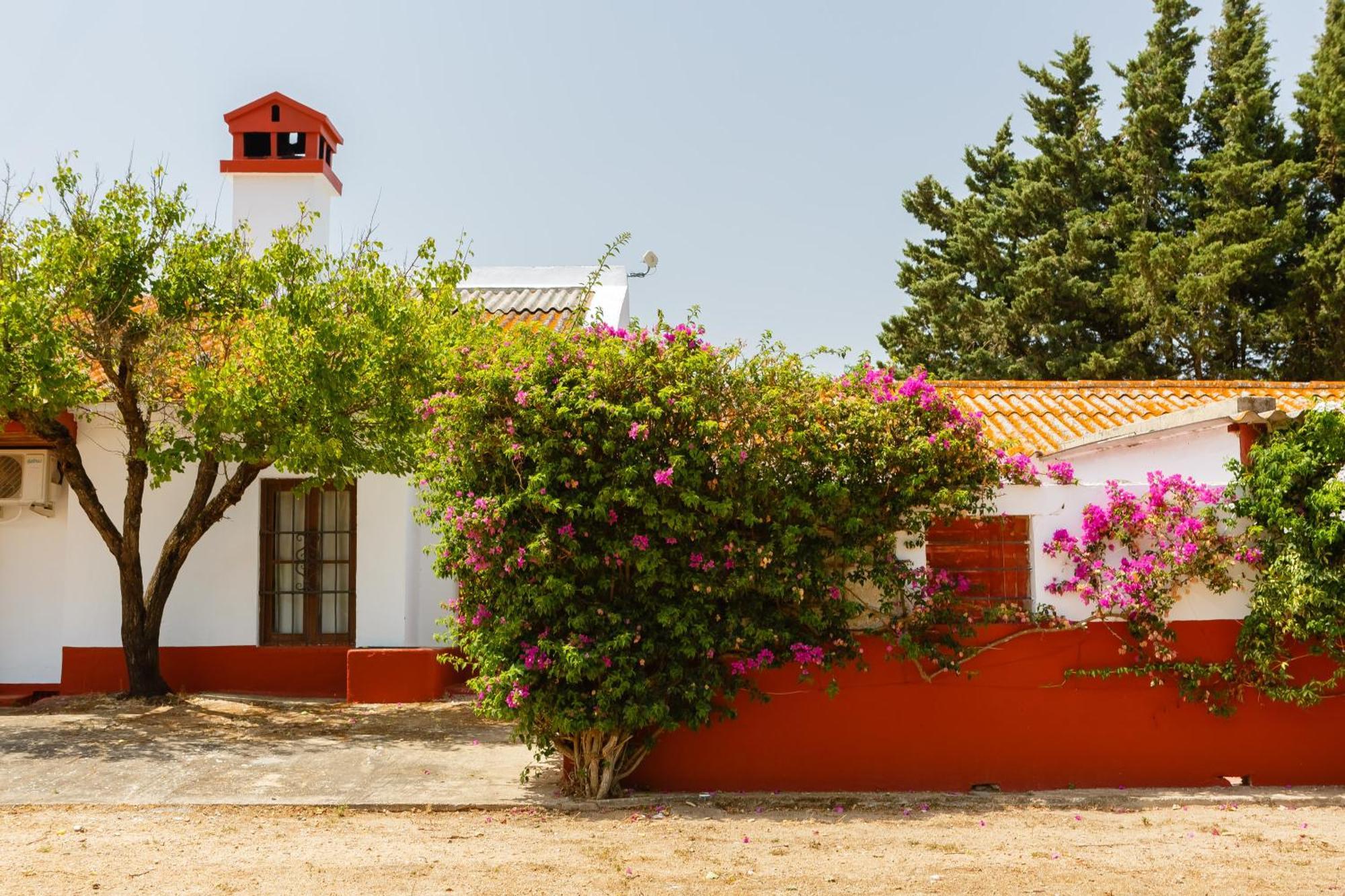 Casa Dehesa De Las Yeguas Cádis Exterior foto
